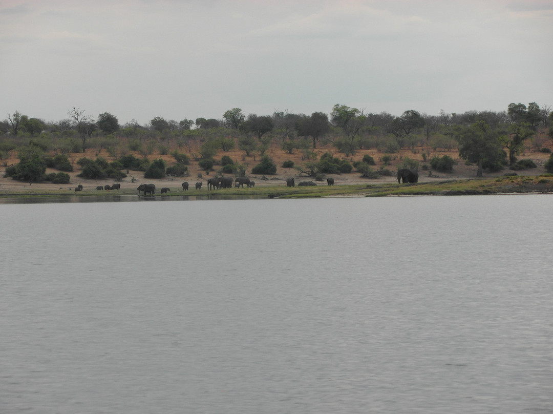 Kaza Safari Lodge