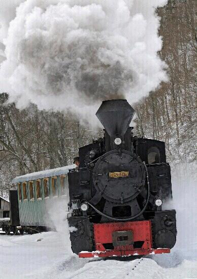 Vaser Valley Forestry Railway - Day Tours-Viseu de Sus必去景点