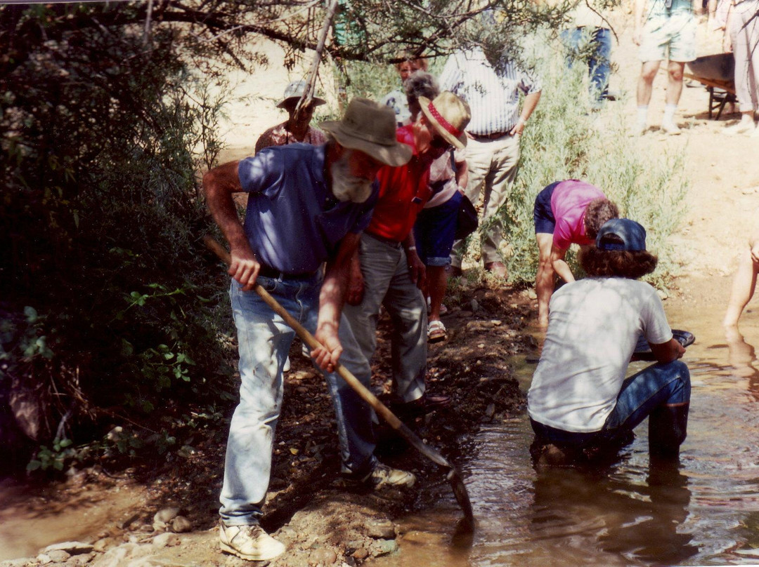 Gold Prospecting Adventures景点图片