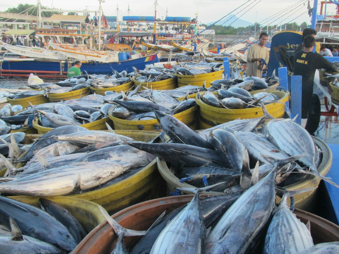 General Santos City Fish Port Complex景点图片