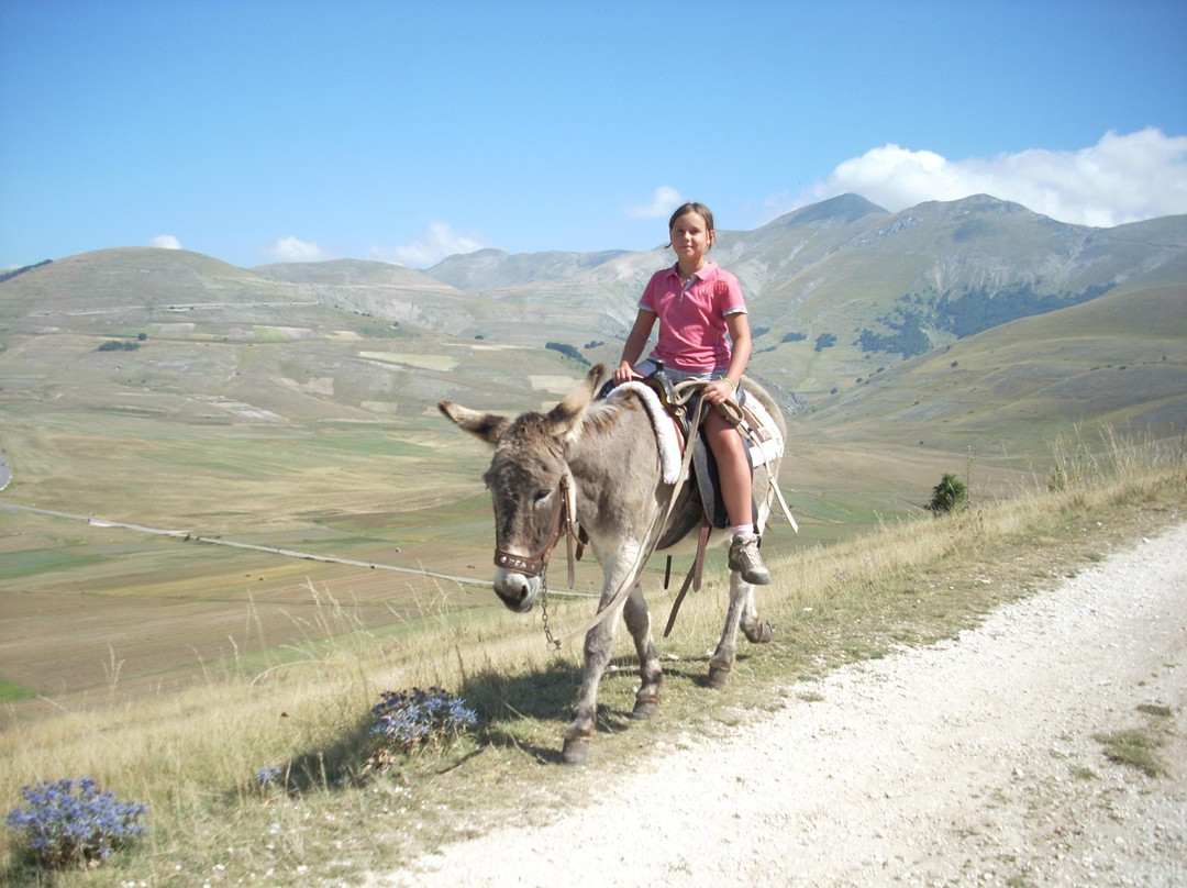 La Mulattiera-诺尔恰必去景点