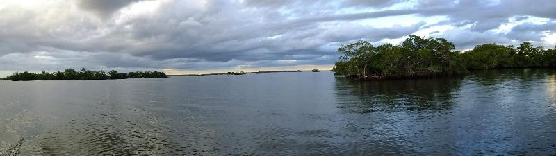 Everglades Backcountry Experience with Capt. Rodney Raffield-大沼泽地必去景点