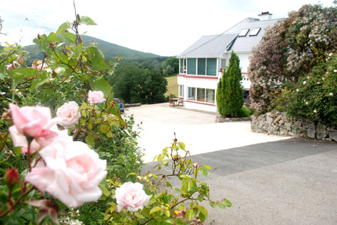 Bluebell House B & B-官方