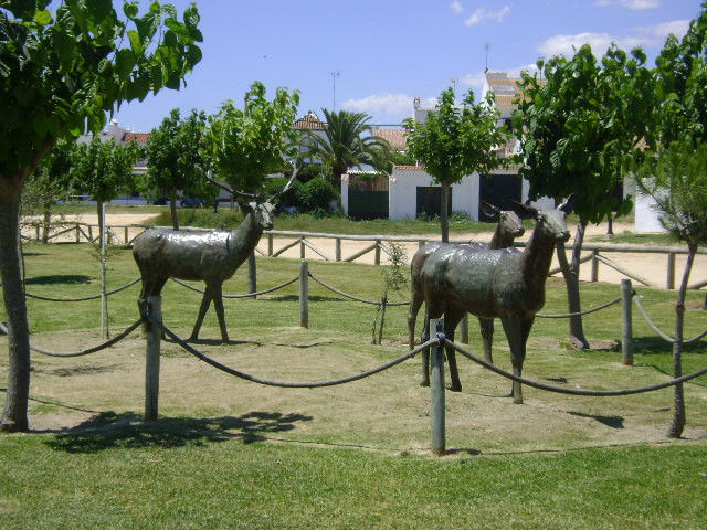 Parque Nacional de Doñana-阿尔蒙特必去景点