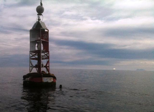 Adventure Whale Watching-圣地亚哥必去景点