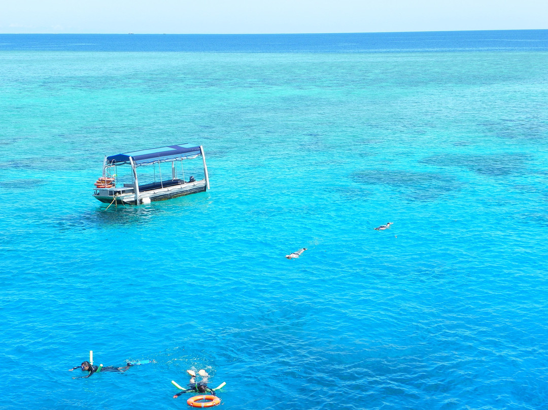 Reef Experience-凯恩斯必去景点