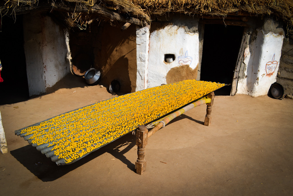 Jodhpur Village Safari景点图片
