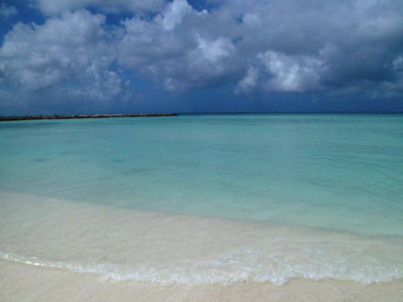 Palm Beach-棕榈/鹰海滩必去景点