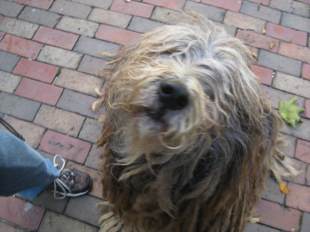 Benjamin F. Packard House Bed and Breakfast主图