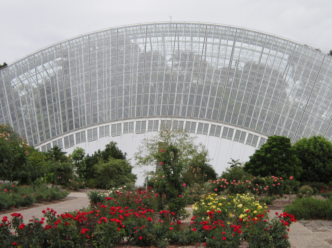 阿德莱德植物园-阿德莱德必去景点