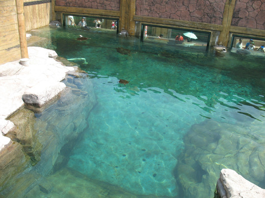 乐岛-秦皇岛市必去景点