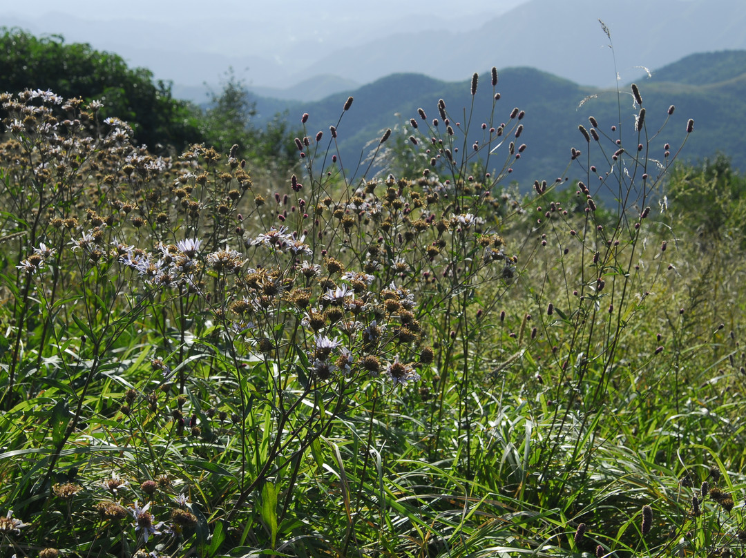 老岭-青龙满族自治县必去景点