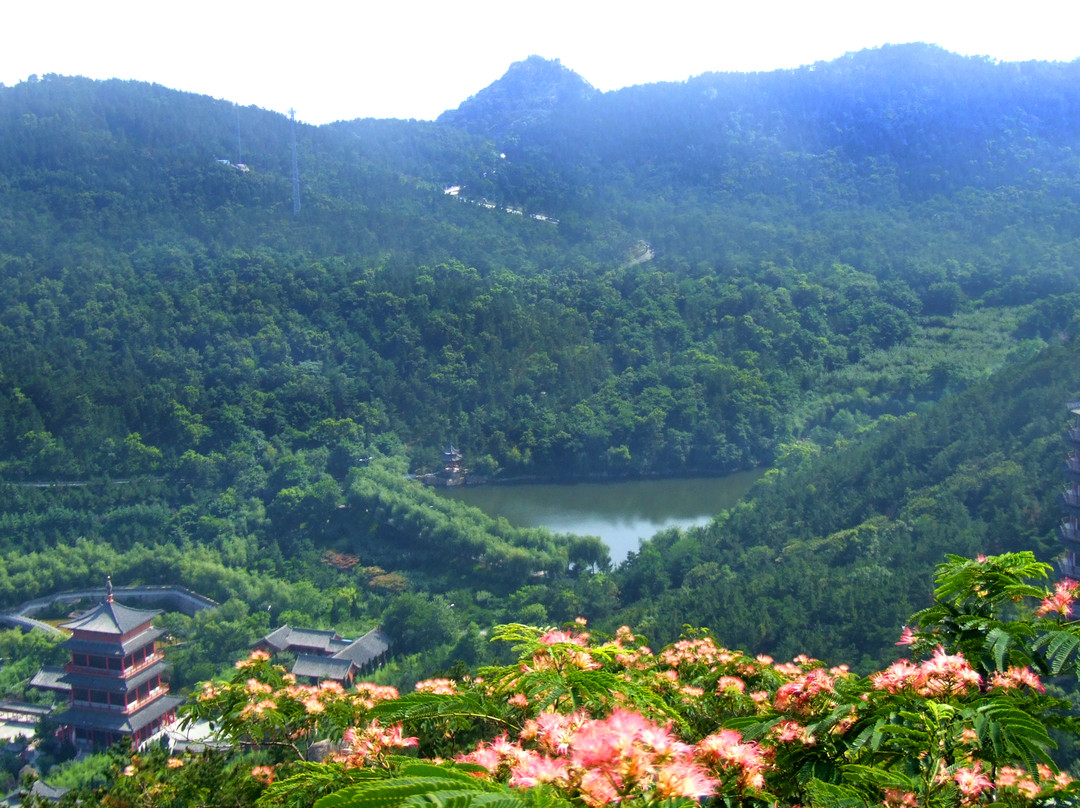 石岛赤山景区-荣成市必去景点