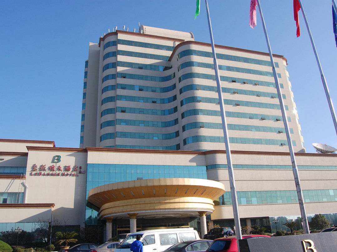 老板娘新光大酒店主图