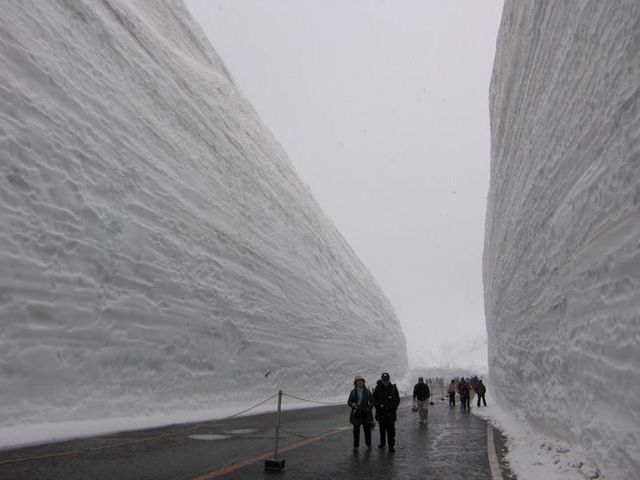 Yuki no Otani (Snow Wall)-立山町必去景点