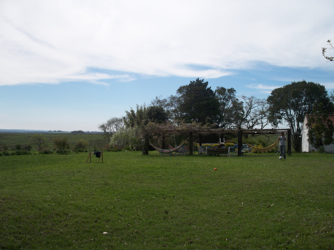 Fazenda Palomas主图