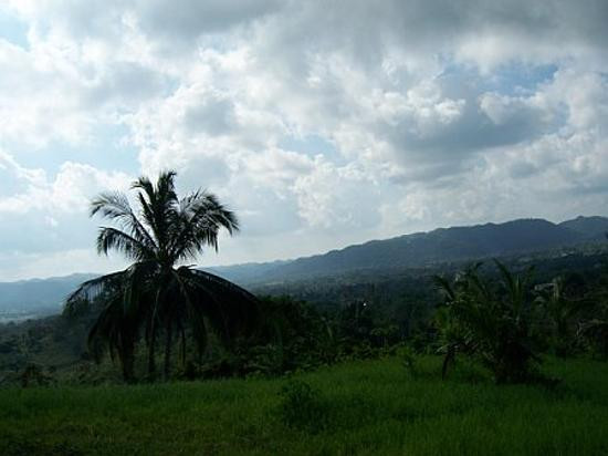 Rhodes Hall Plantation-Green Island必去景点