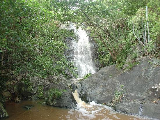 Reef Bay Trail景点图片