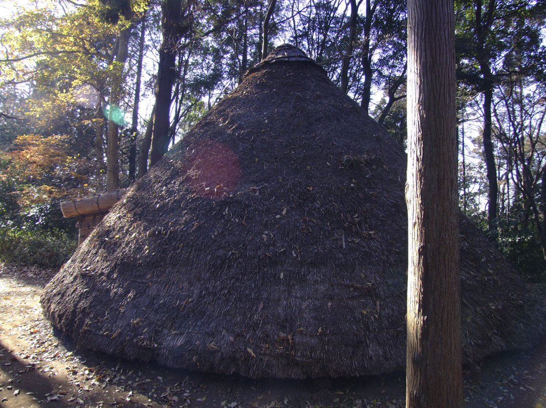 Forest and Park for the 21st Century-松户市必去景点