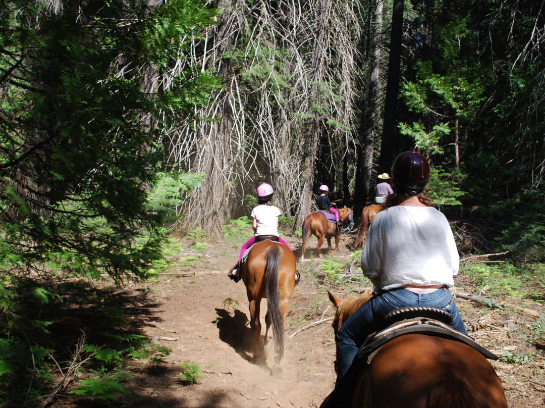 Yosemite Trails Horseback Adventures-菲什营必去景点