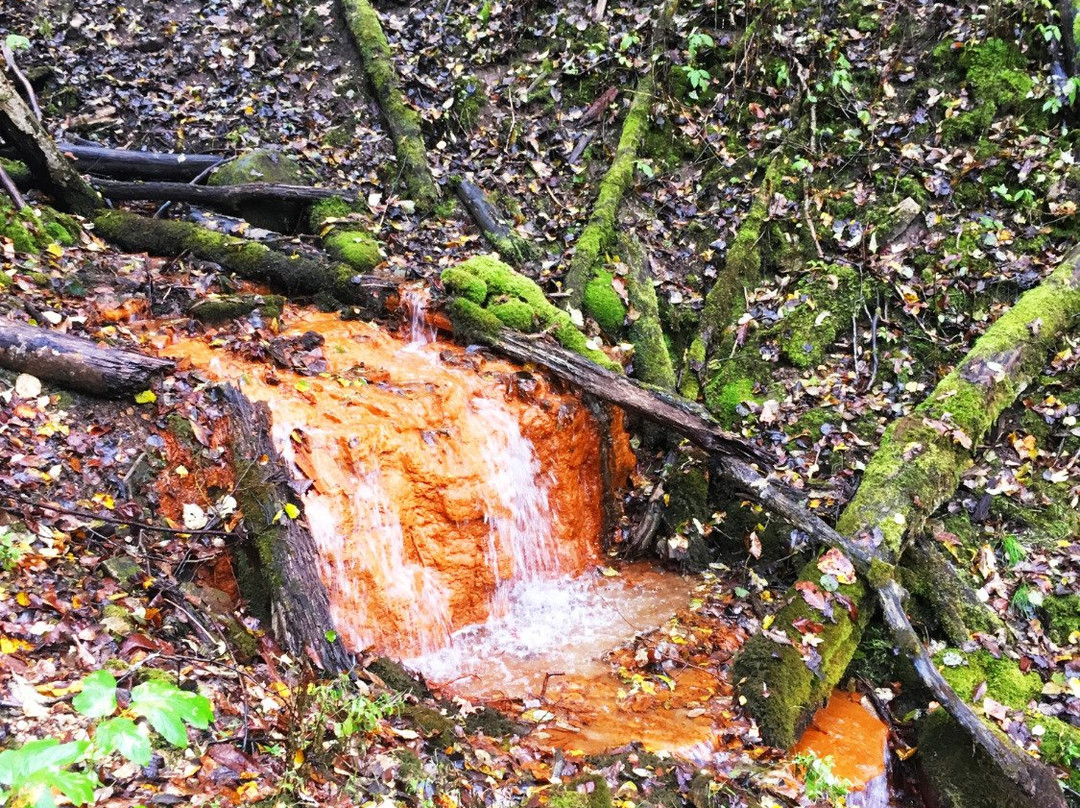 David's Mill Waterfall