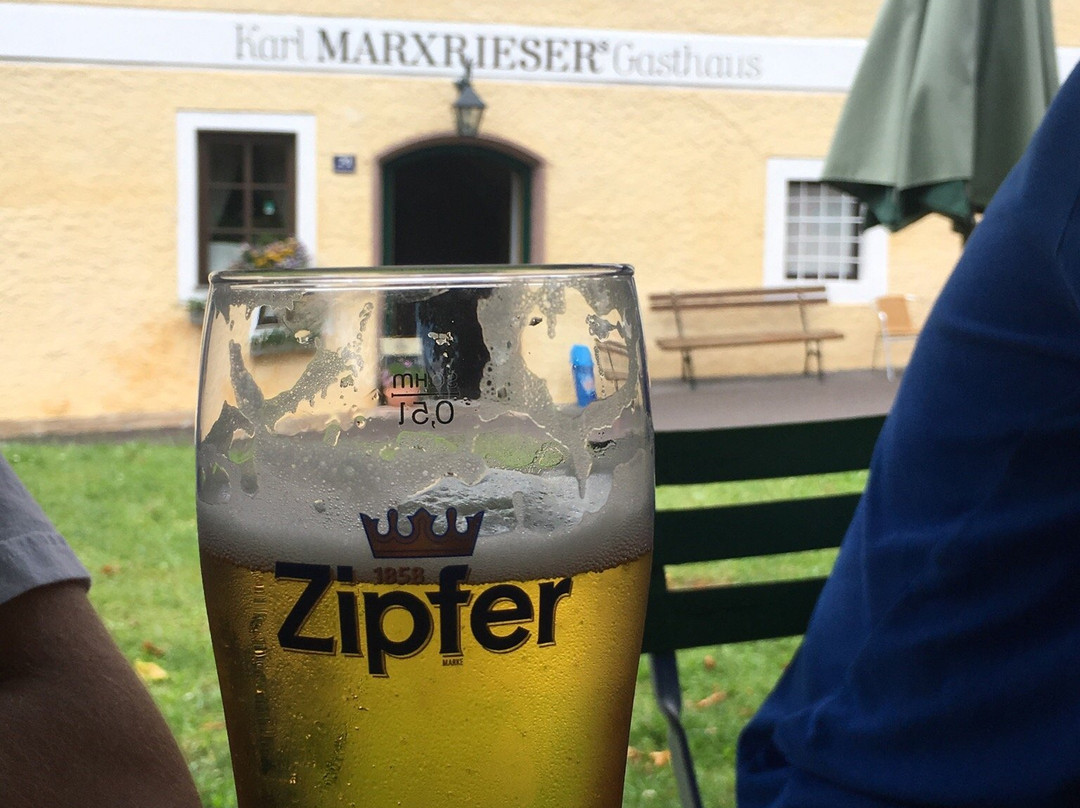 Losenstein餐馆和美食-Gasthof Bräuhaus Marxrieser