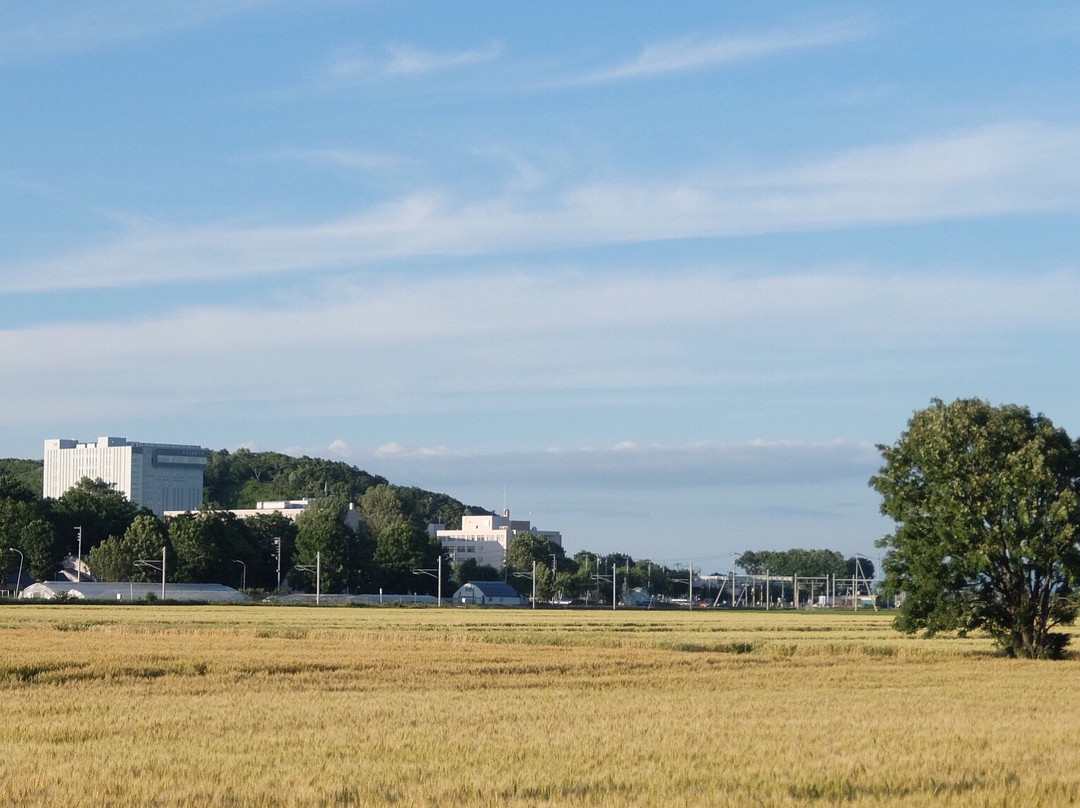 当别町餐馆和美食-Double Tall Hokkaido Iryo Daigaku