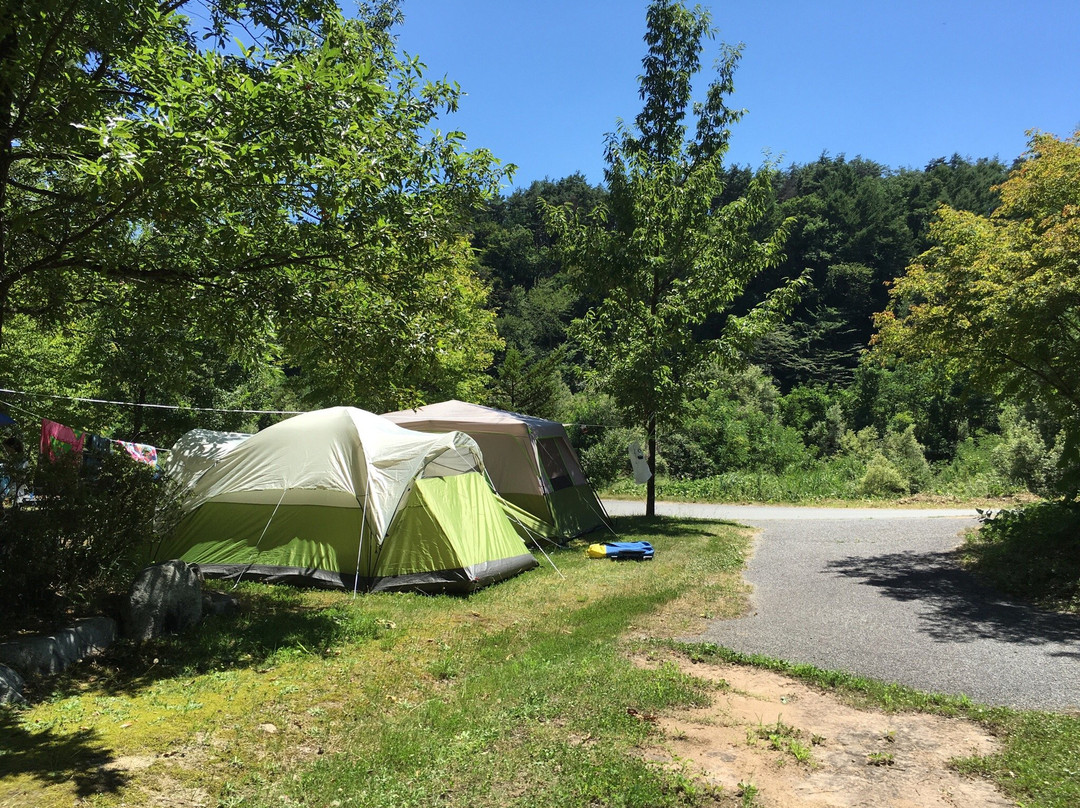 Yotagiri Park Camping Ground