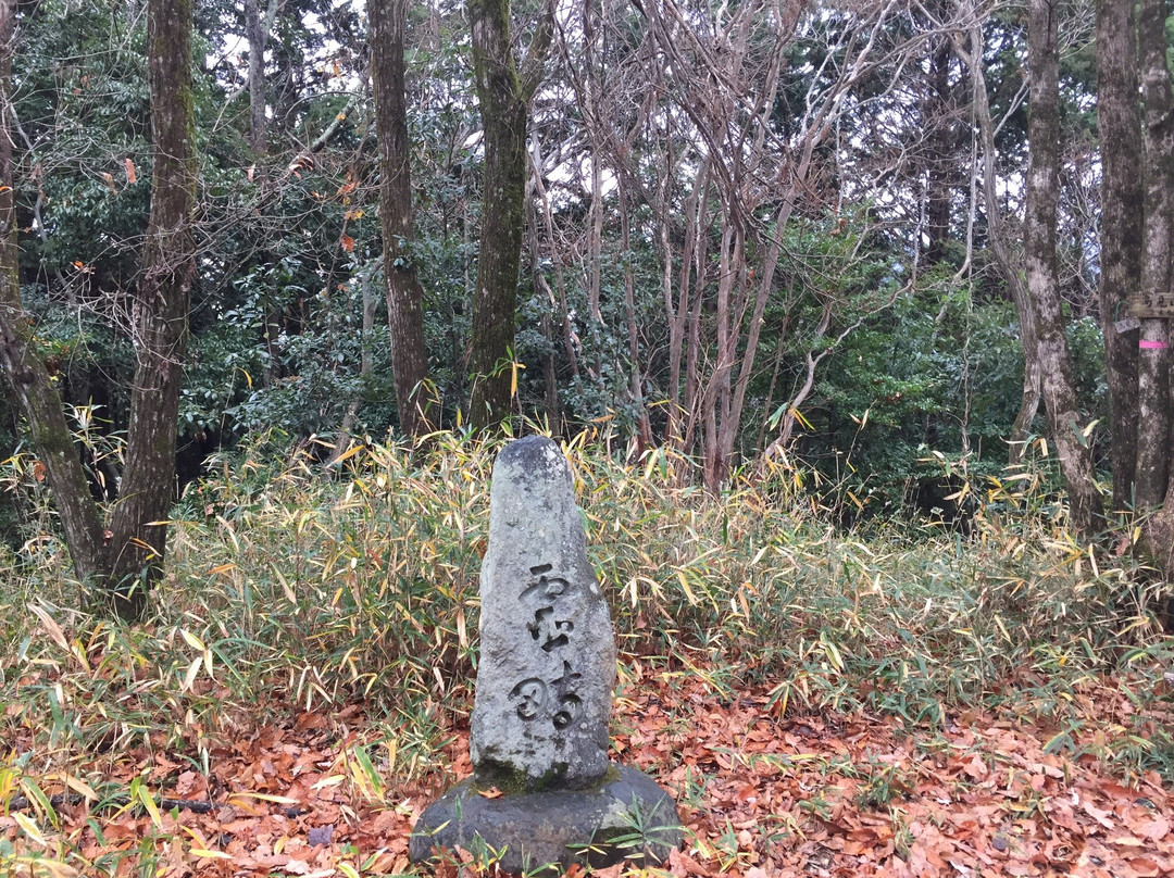 Tomi Shrine-樱井市必去景点