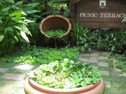 福康寧公園-新加坡必去景点