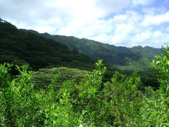 玛诺亚瀑布-火奴鲁鲁必去景点