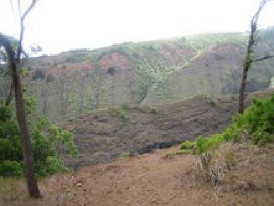 门罗小径-拉奈市必去景点