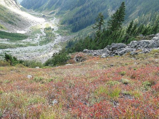 North Cascades Highway景点图片