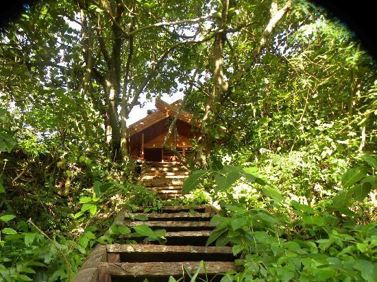 Deep Blue Diving-努库阿洛法必去景点