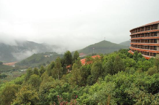 梅州雁南飞茶田度假村-梅县必去景点