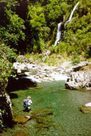Dream Streams Fly Fishing景点图片