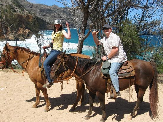 CJM Country Stables-可洛亚必去景点