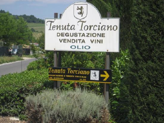 Tenuta Torciano景点图片