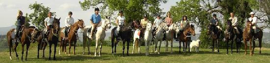 Siena Horse Riding-蒙特罗尼-达尔比亚必去景点
