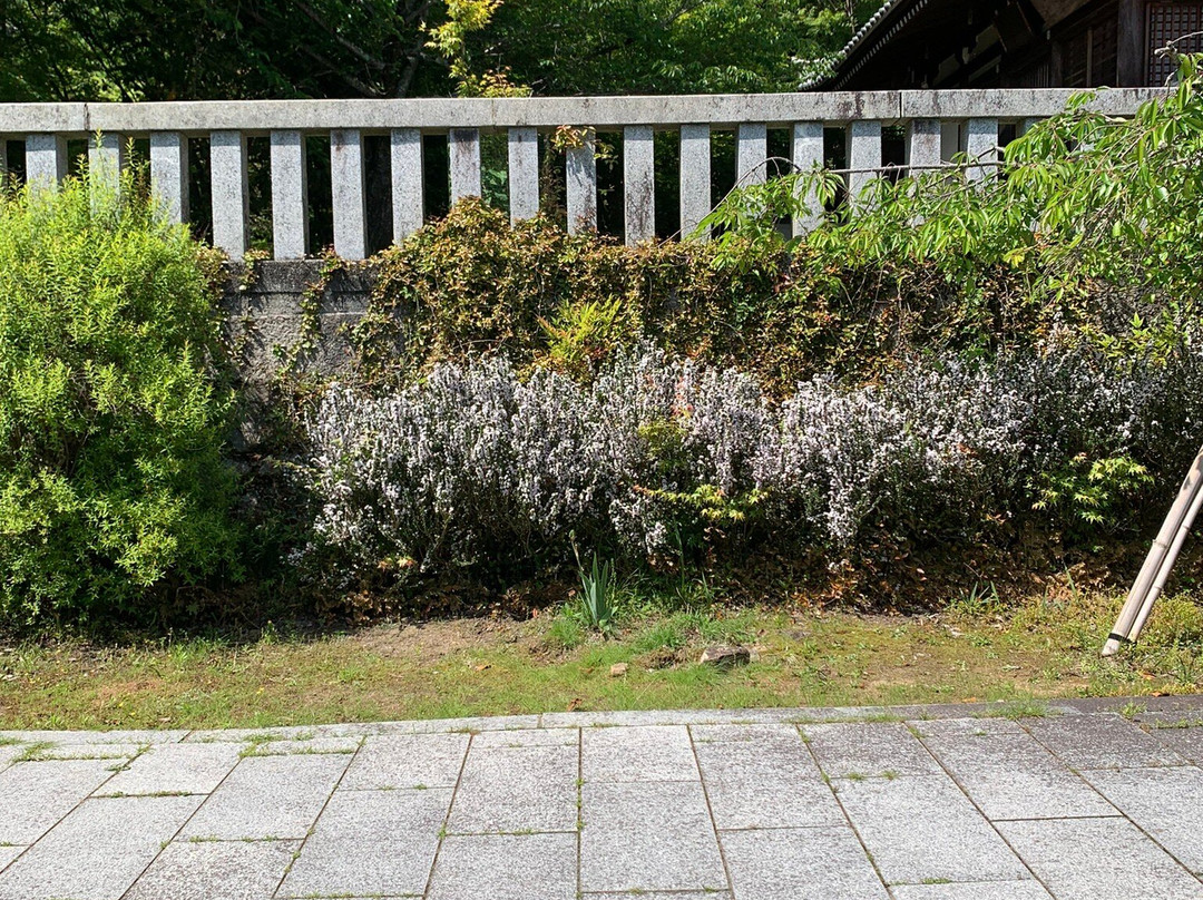 Shotengu Saikoji Temple-美浓市必去景点