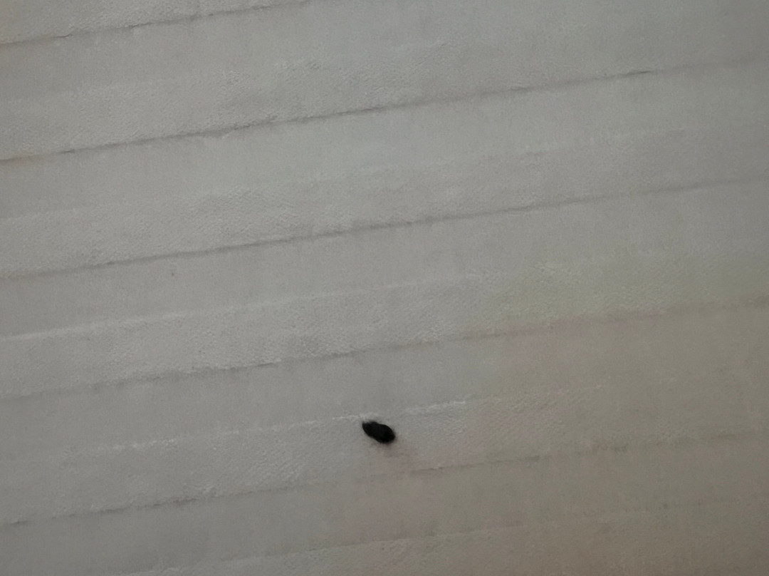 Ramada by Wyndham South Waco主图