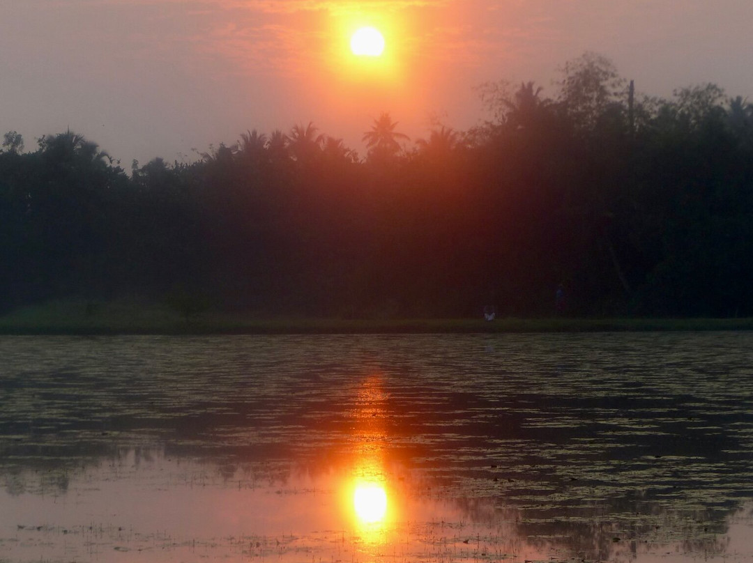 Coconut Lagoon, CGH Earth主图