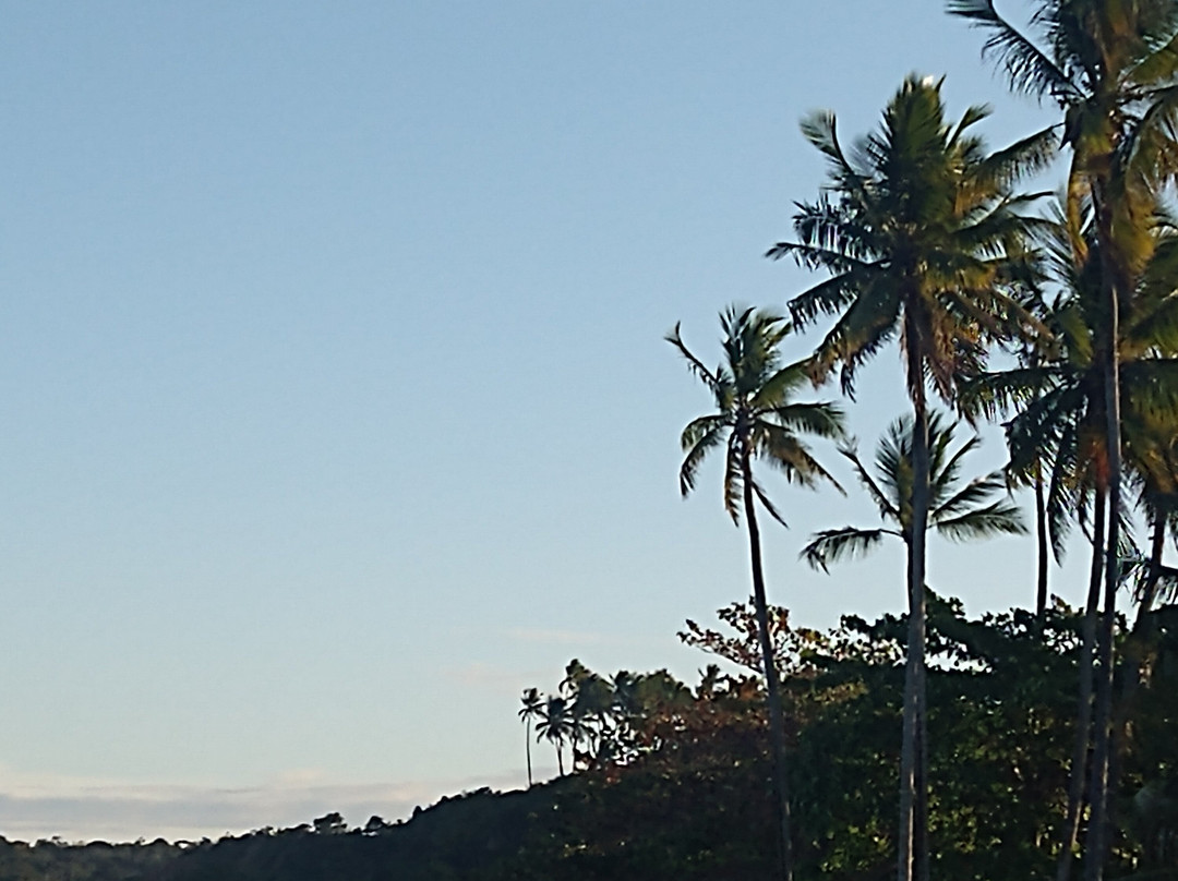 Praia dos Coqueiros-特兰科苏必去景点