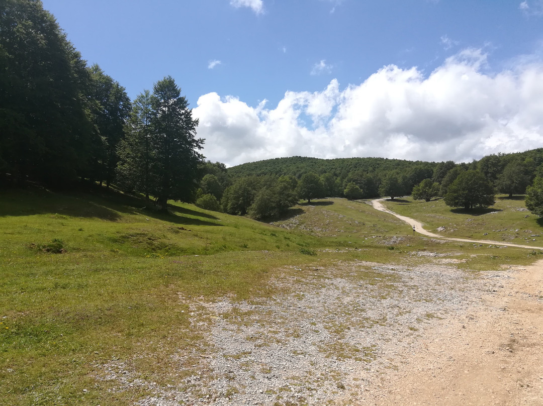Campo dell'Osso-Subiaco必去景点