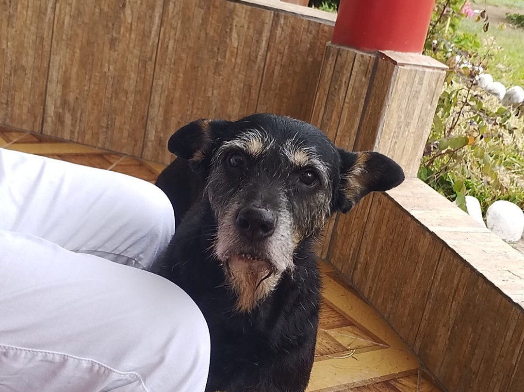 Hotel Sol de Luna主图