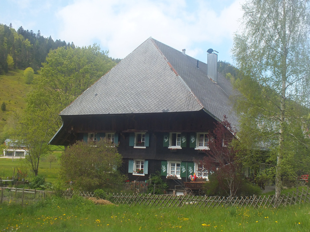 Altstadt Menzenschwand-Menzenschwand必去景点