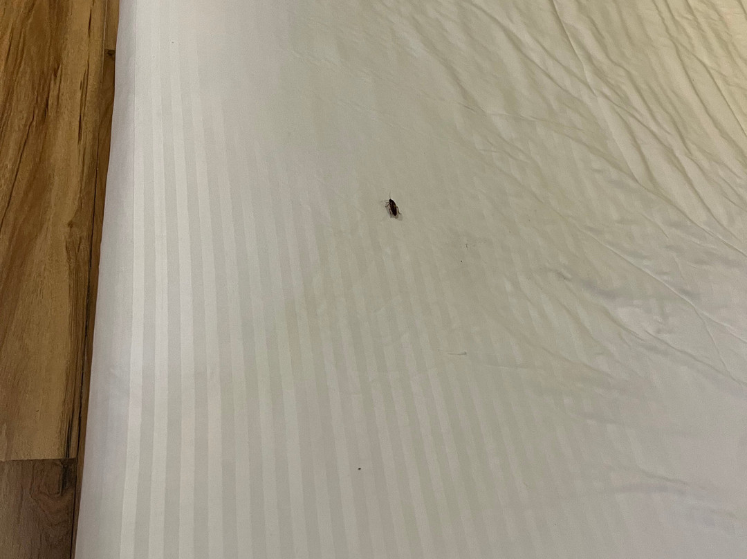 Antariksh Retreat主图