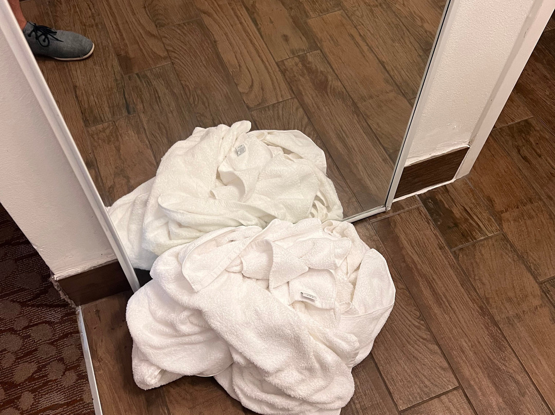 Holiday Inn Savannah Historic District By IHG主图