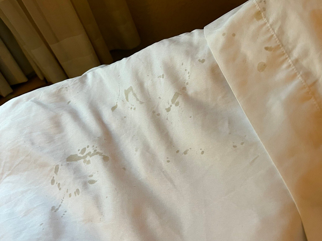 Quality Inn Bridgeport-Clarksburg主图