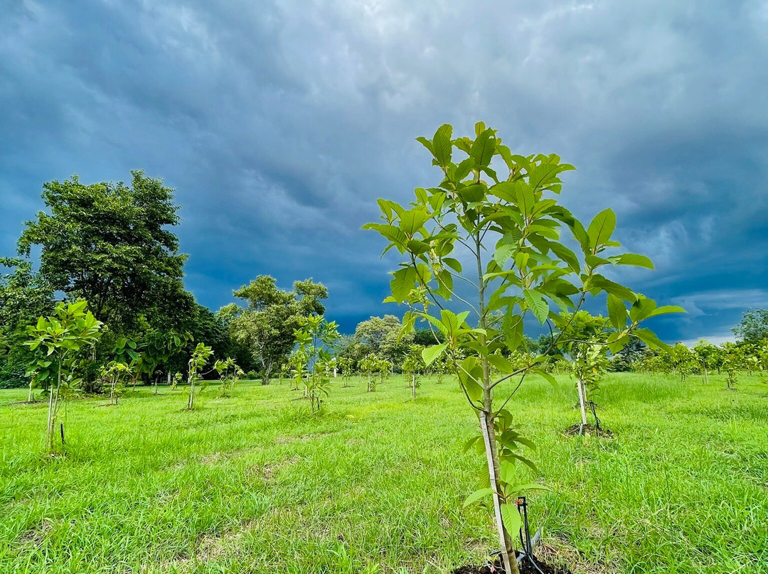 阿雅德哈拉村酒店主图
